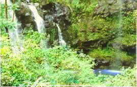 Maui honeymoon accommodations close to waterfalls